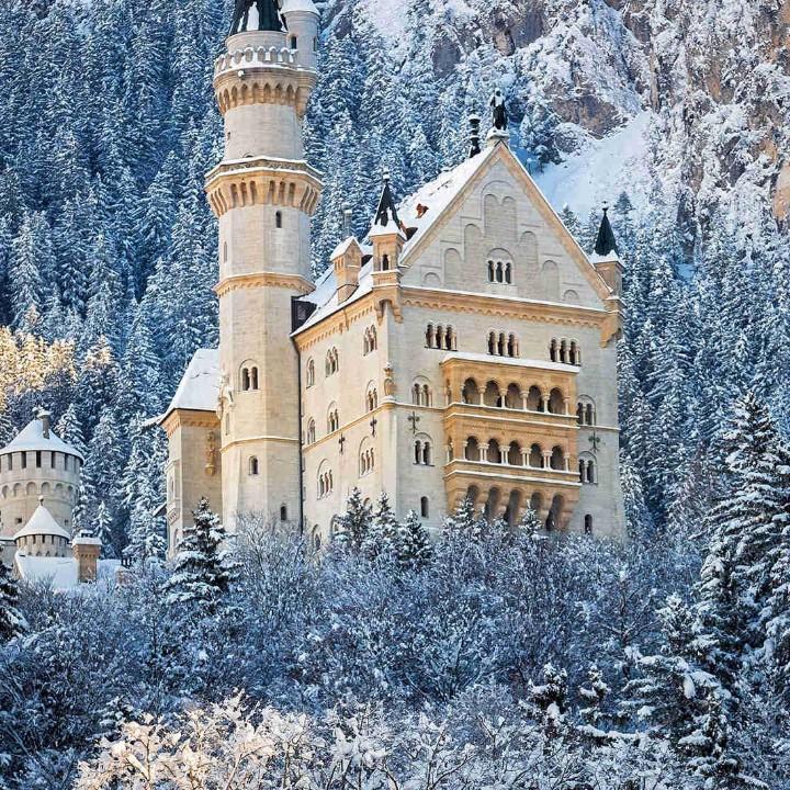 (｡･ω･｡)ﾉ♡黄小波