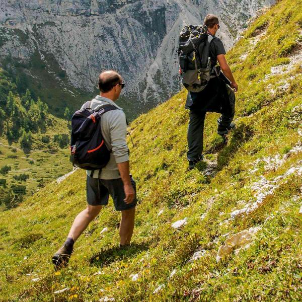 এ᭄惠飞的🐷🐷ꦿృ༊