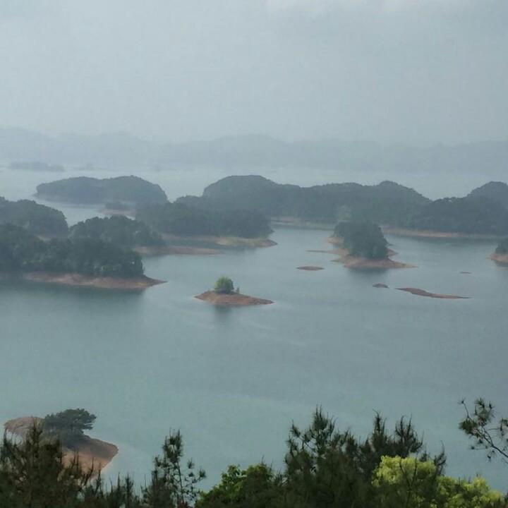い天然