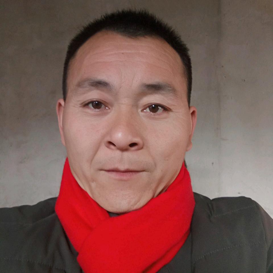 西北狼🐺
