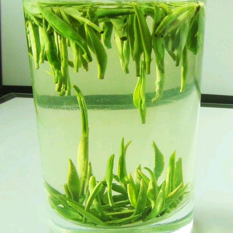 🍃茶语🍃人生🍃