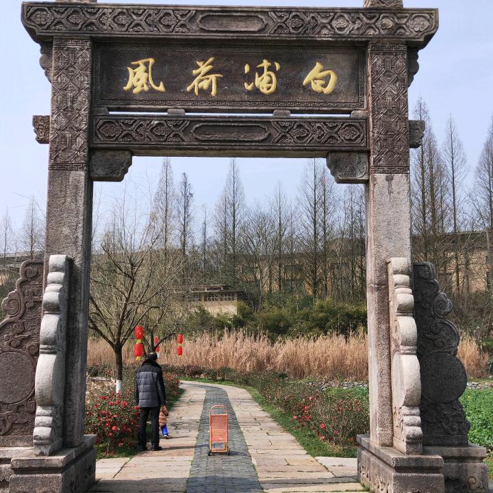 白浦荷风  农产品