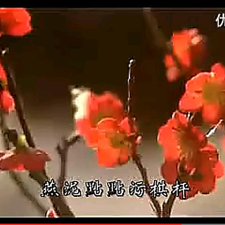 柠檬汁