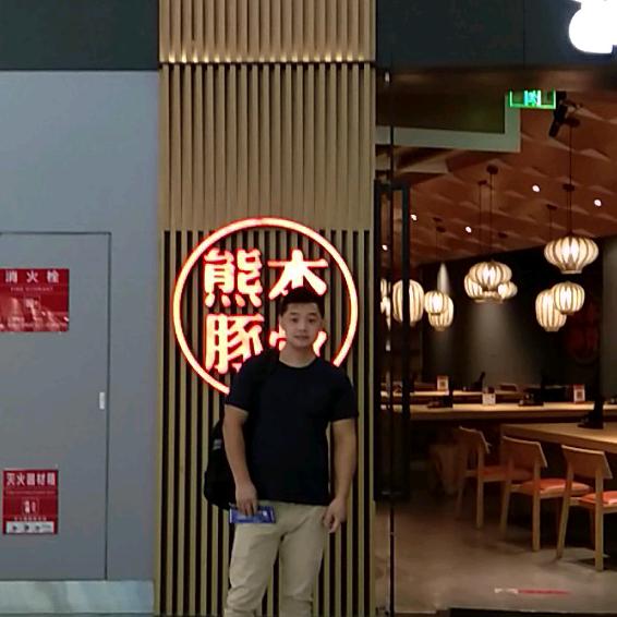 沙鸥展翅