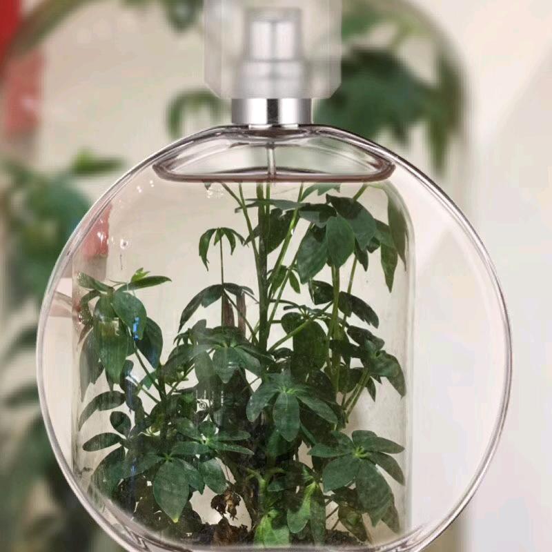 红英VIVIAN LIU   回龙观