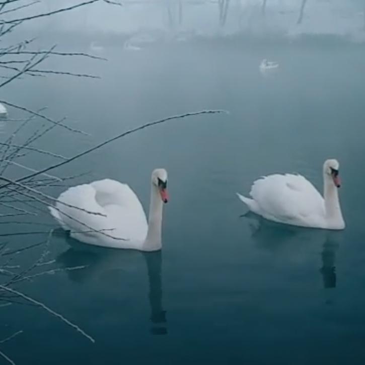 静晓