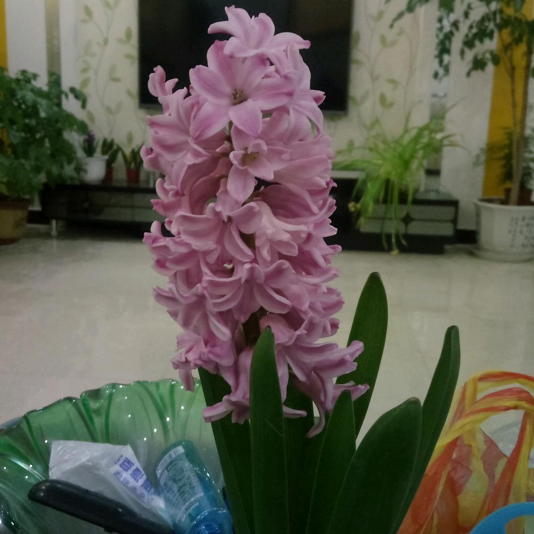曾经沧海