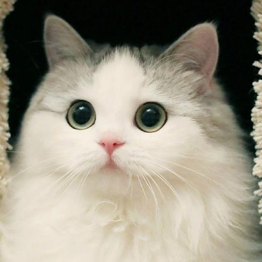 叨叨