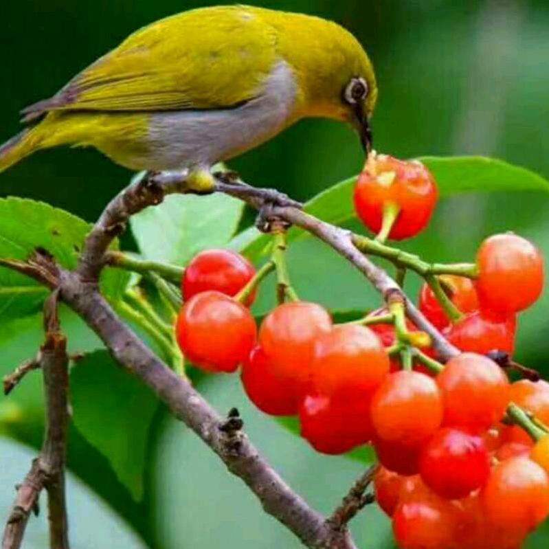 有缘千里来相会