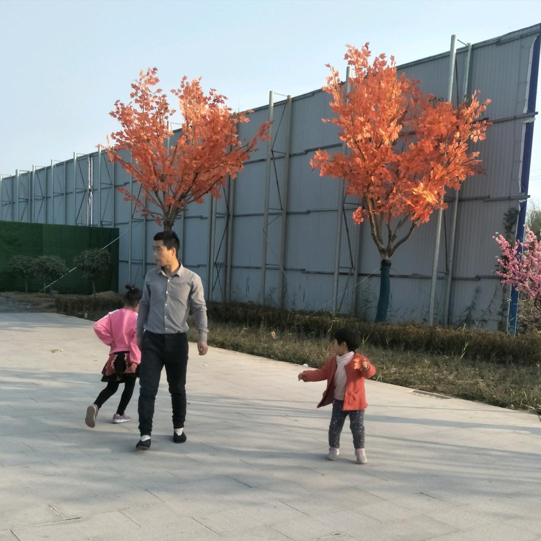 x十y=红烧鱼！军