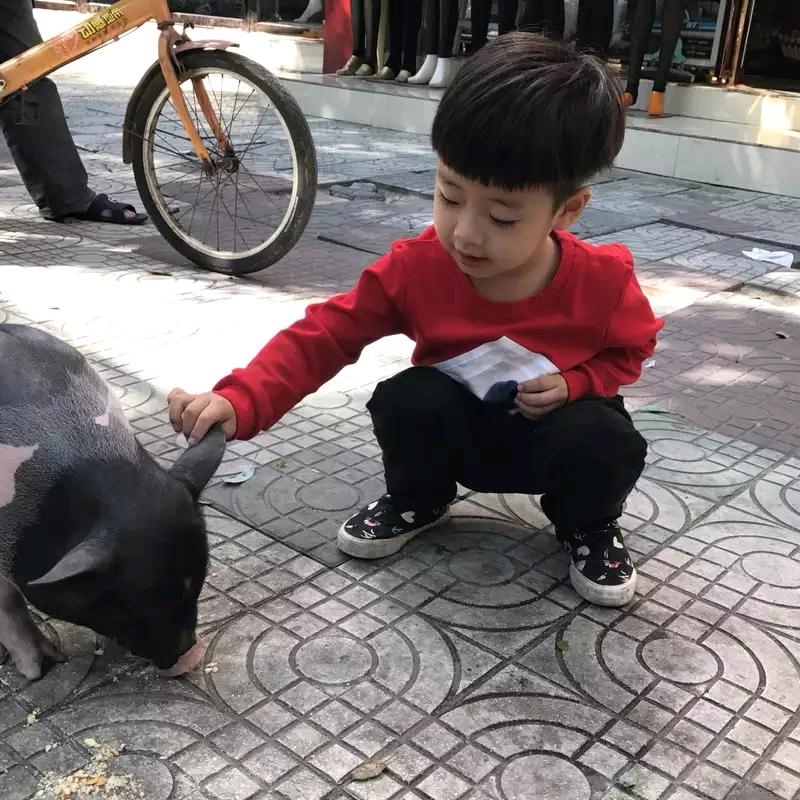 ☘️安义小扬仔☘️