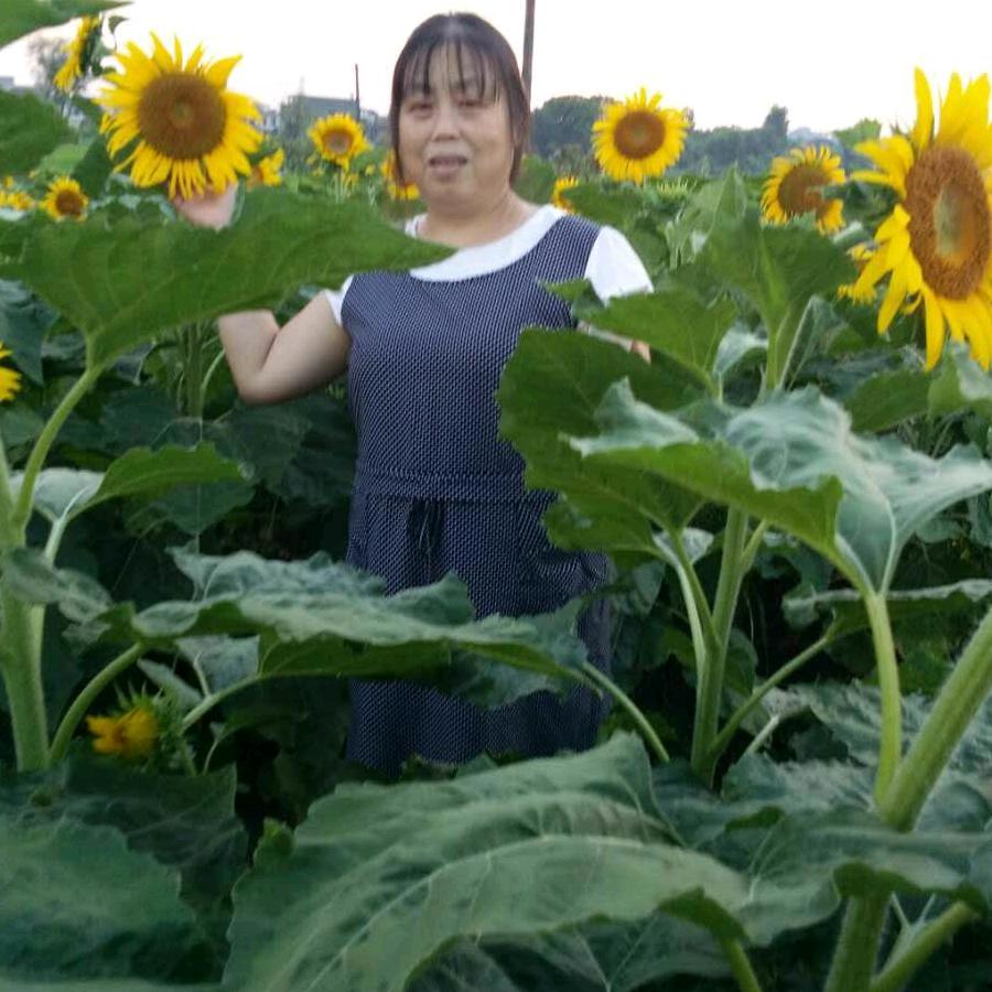 用户366910张建华