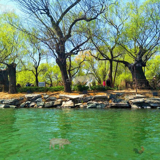 开心每一天二姐