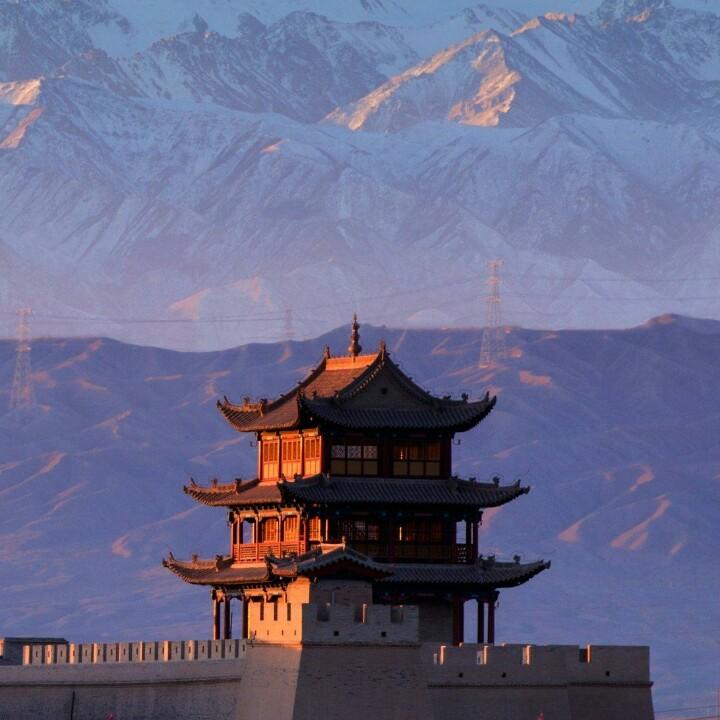 运哥