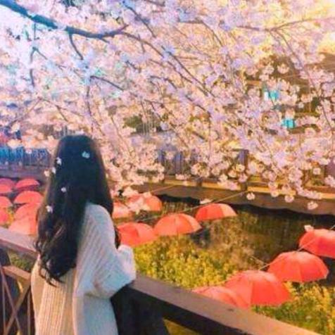 花季少年