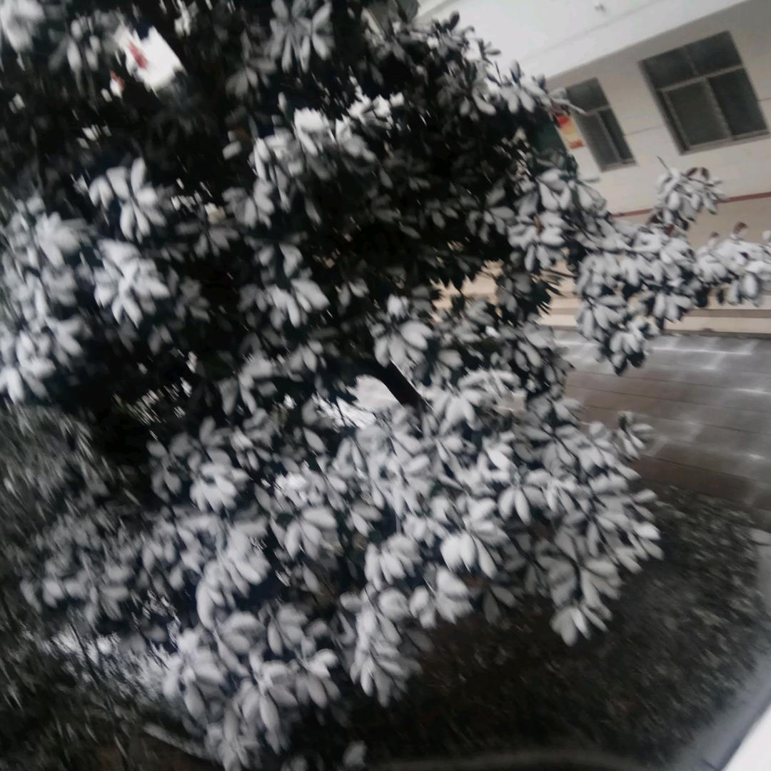 天明来到