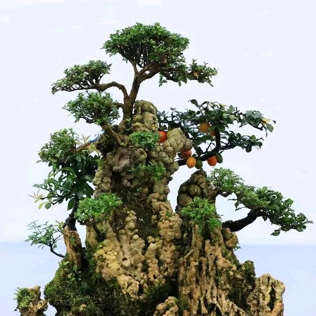 小牛花艺