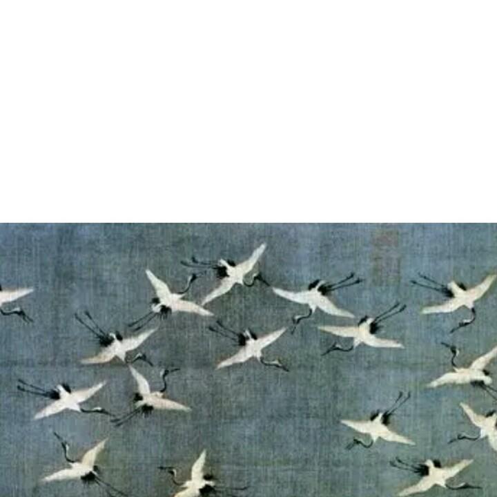 明月
