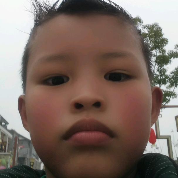 政