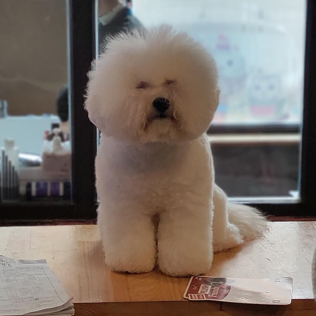 心意自得