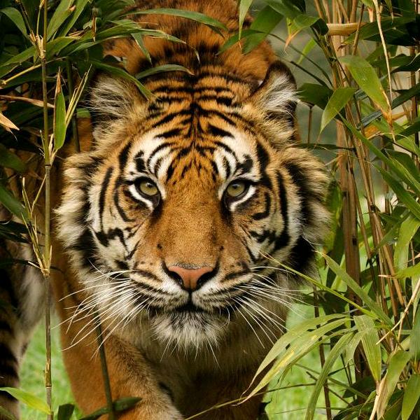 偷得浮生半日闲