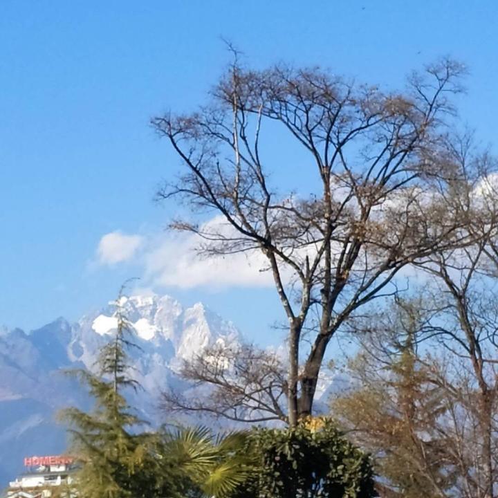 半玄月