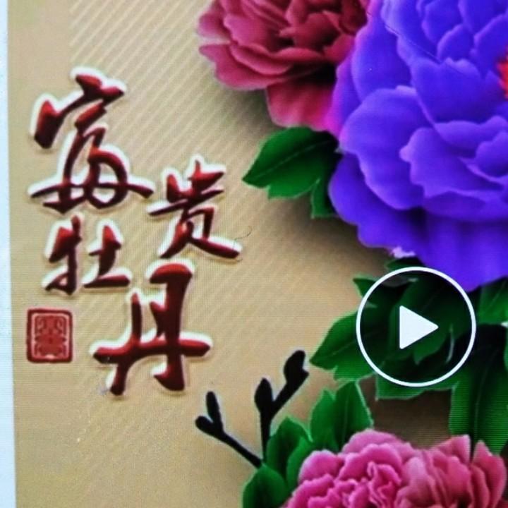 诚实的心