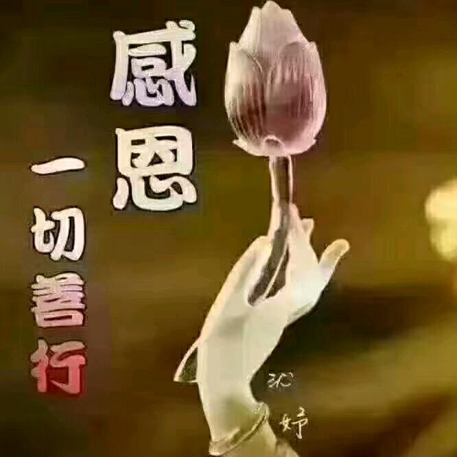 兰心蕙质