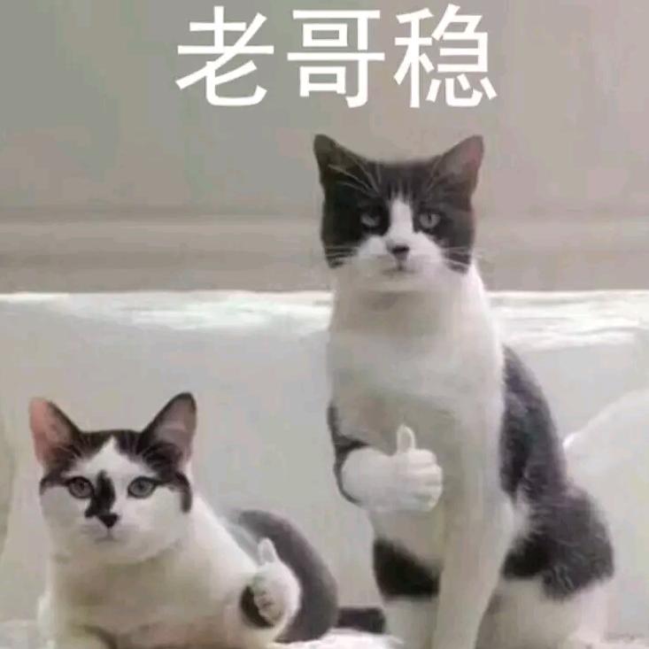 八块腹肌史泰龙  🏄