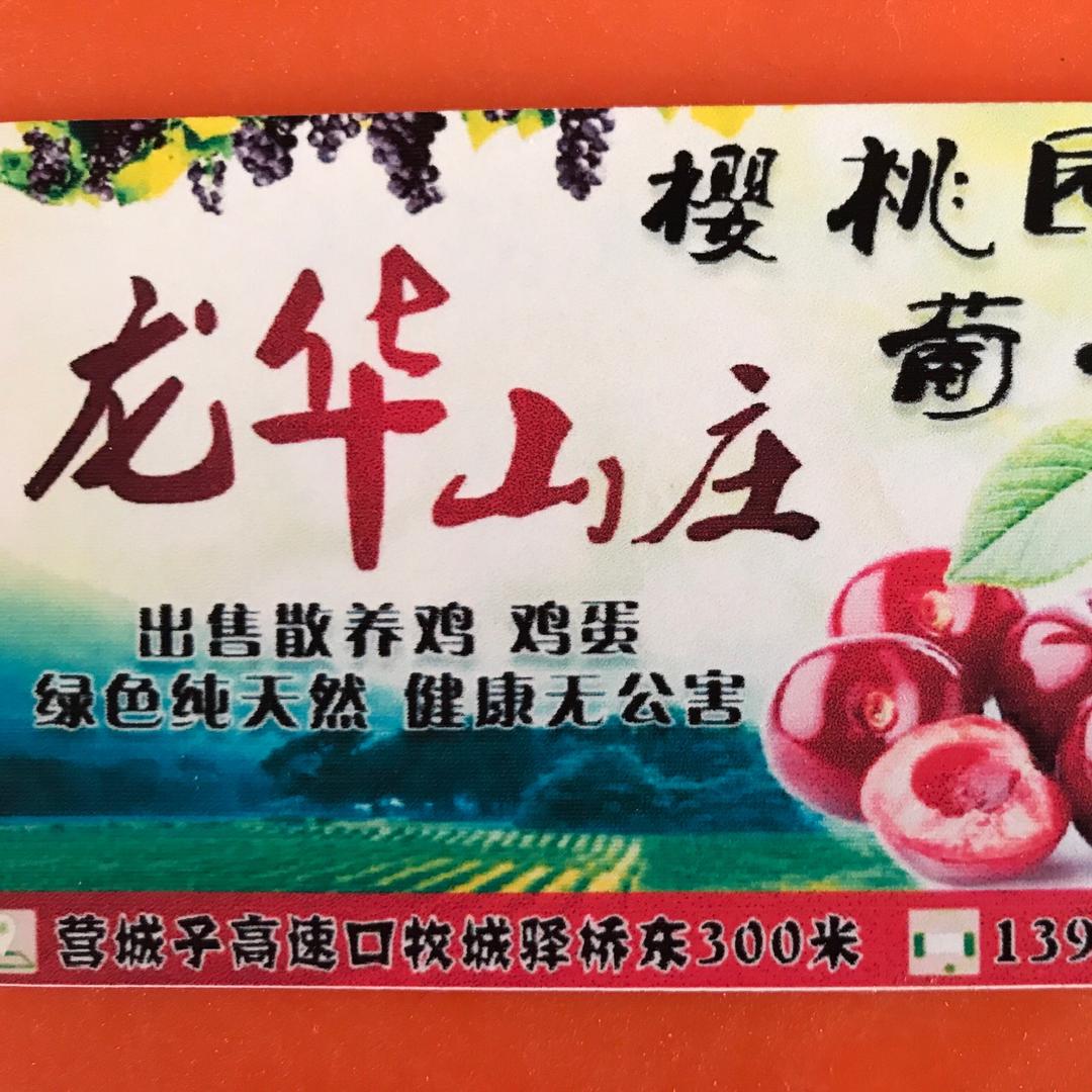 珑妈大连龙华山庄樱桃园