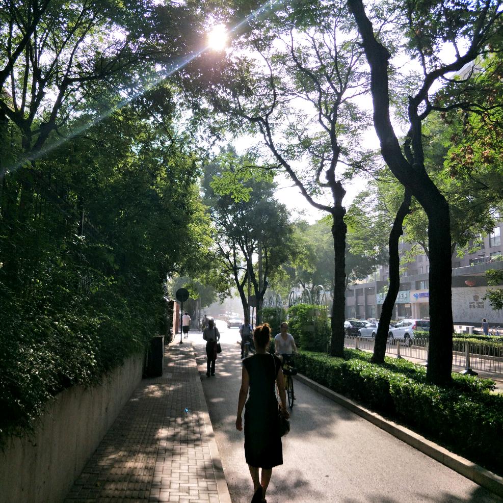张棉