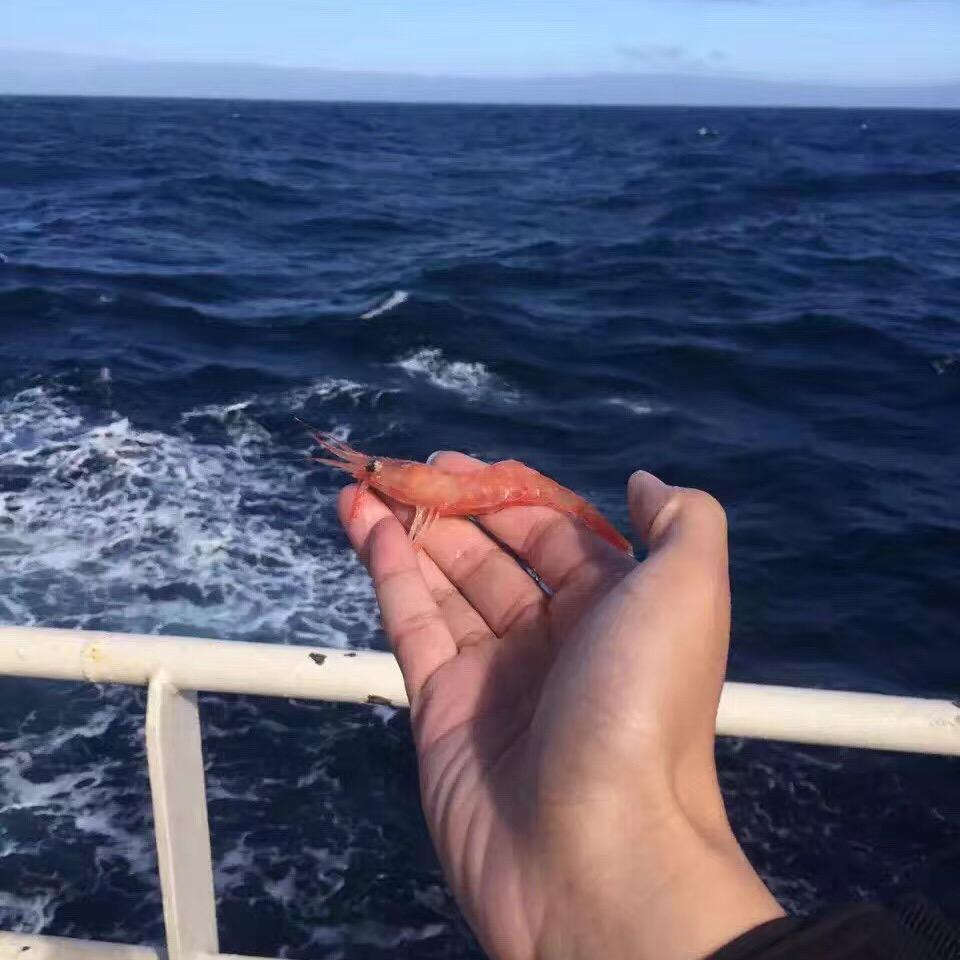 海宏盈水产旗舰店