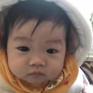 蝶舞