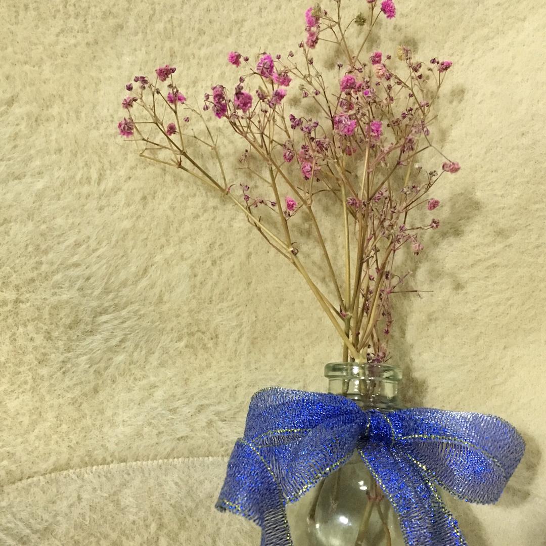蒙面咸鱼