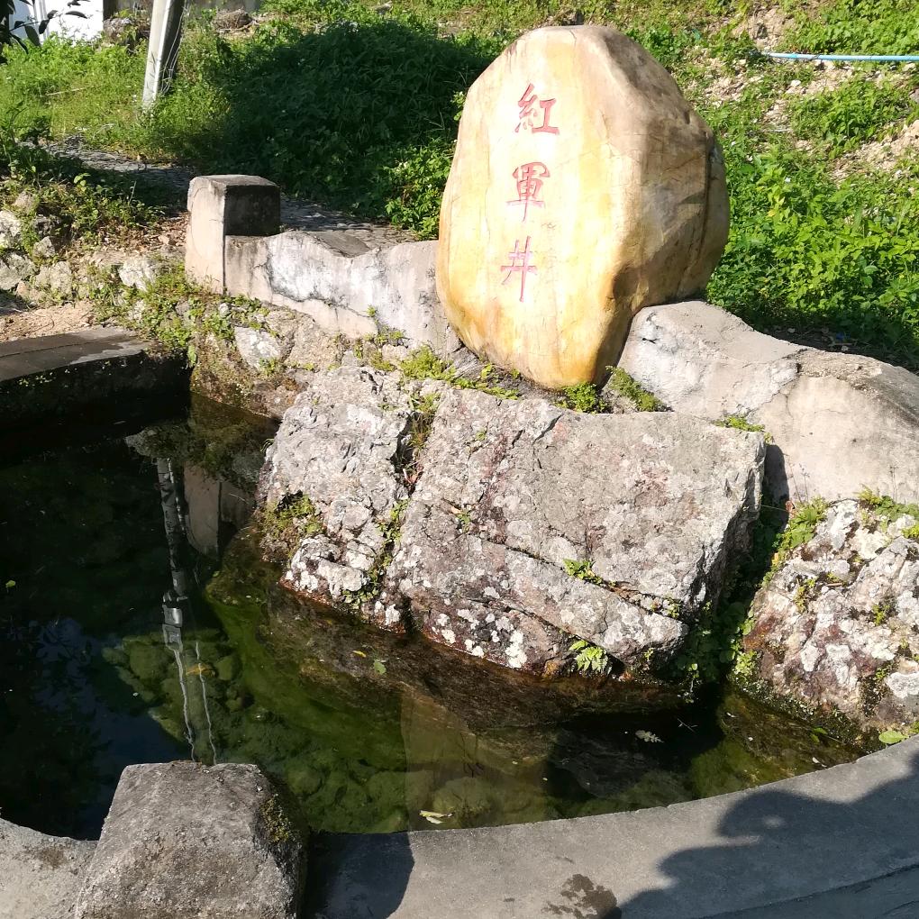 言行一致明