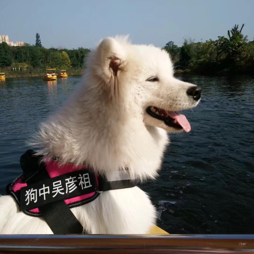 王二缺