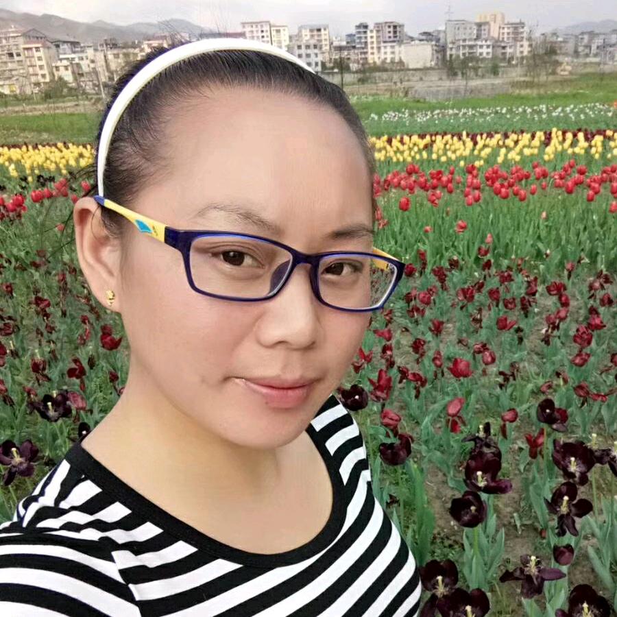 艳阳高照（黑玫瑰）