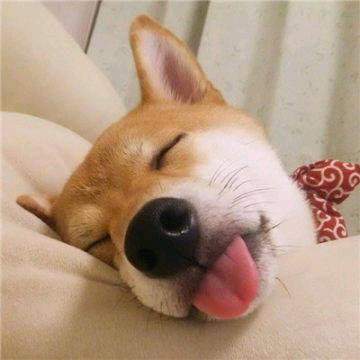 赵公子