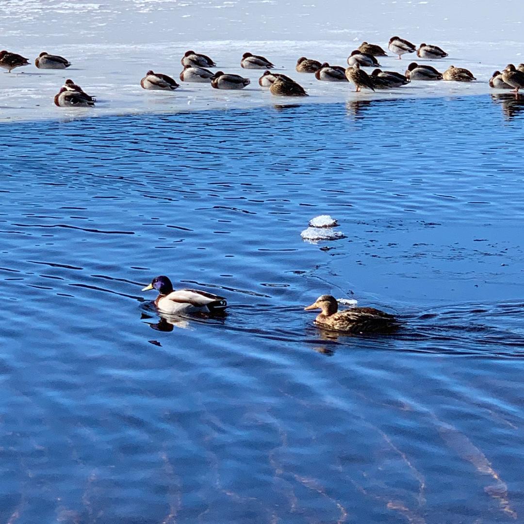我一直在关注你😄