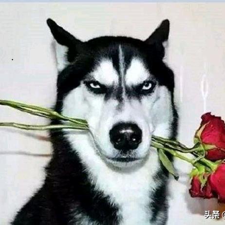 一蓑烟雨任平生