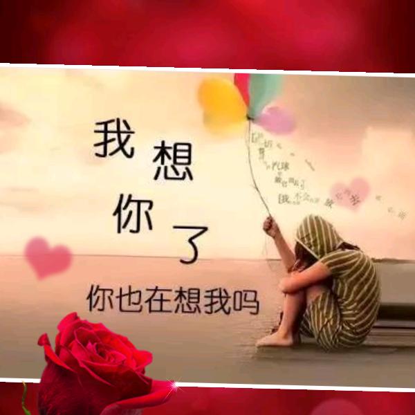 爱美的人不可靠