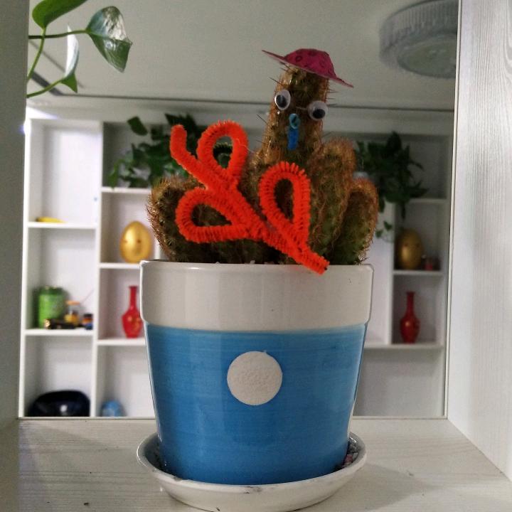 一路有你(感谢关注)