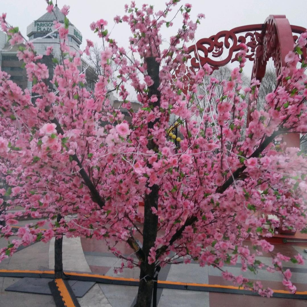 李军