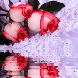 😘一世情缘😘