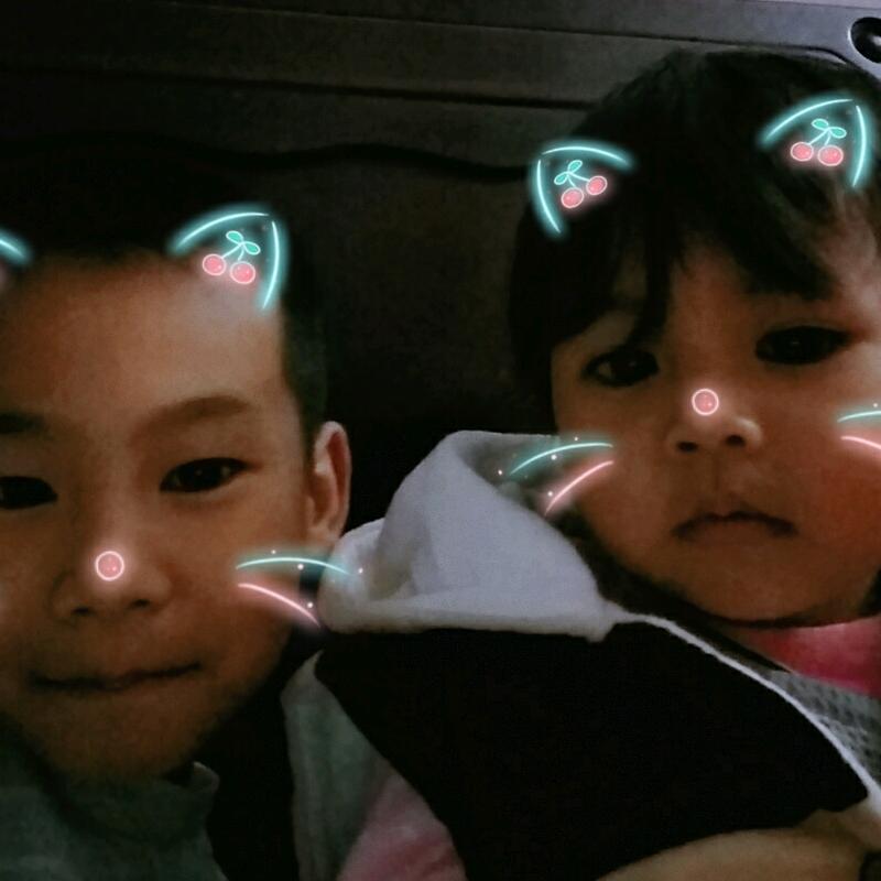 ✨木🌾子🍀李💞