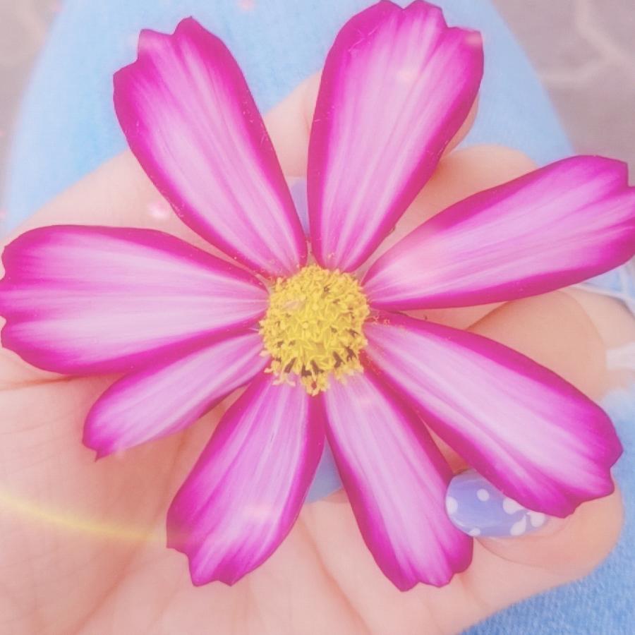 要向阳呀