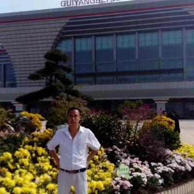 明天会更好((邱))