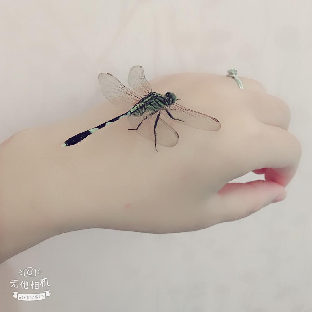 十一