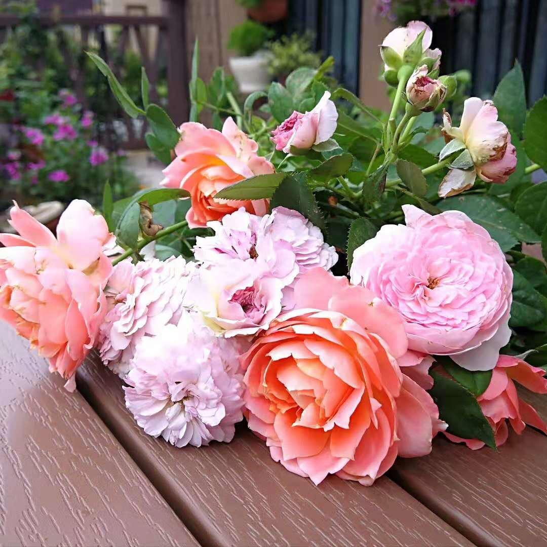 花朵朵