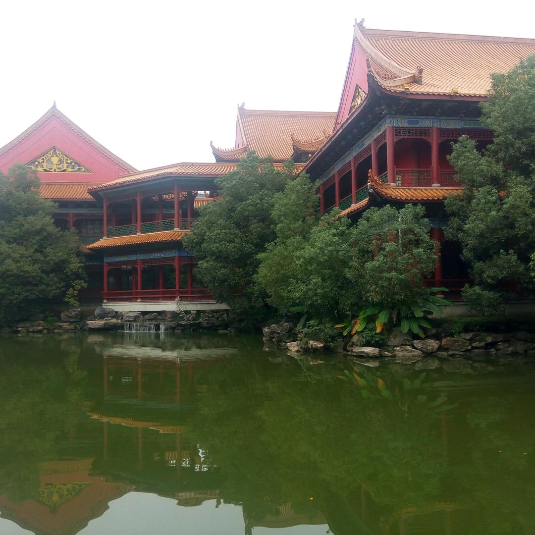 手套哥